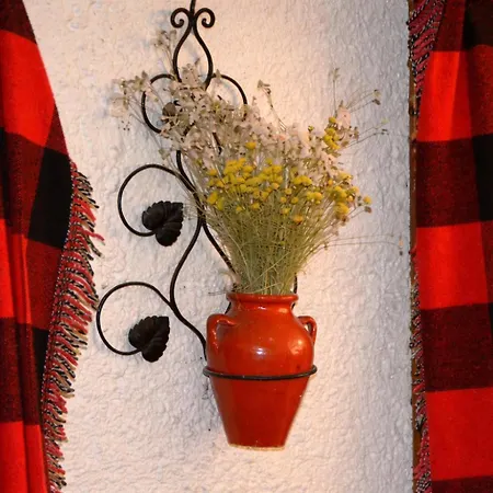 Casa rural con cueva - Cal Gravat Apartament *